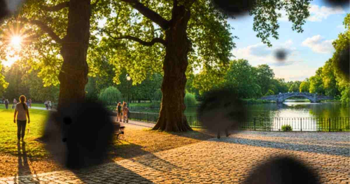 Sudden Black Spots in Vision Not Floaters